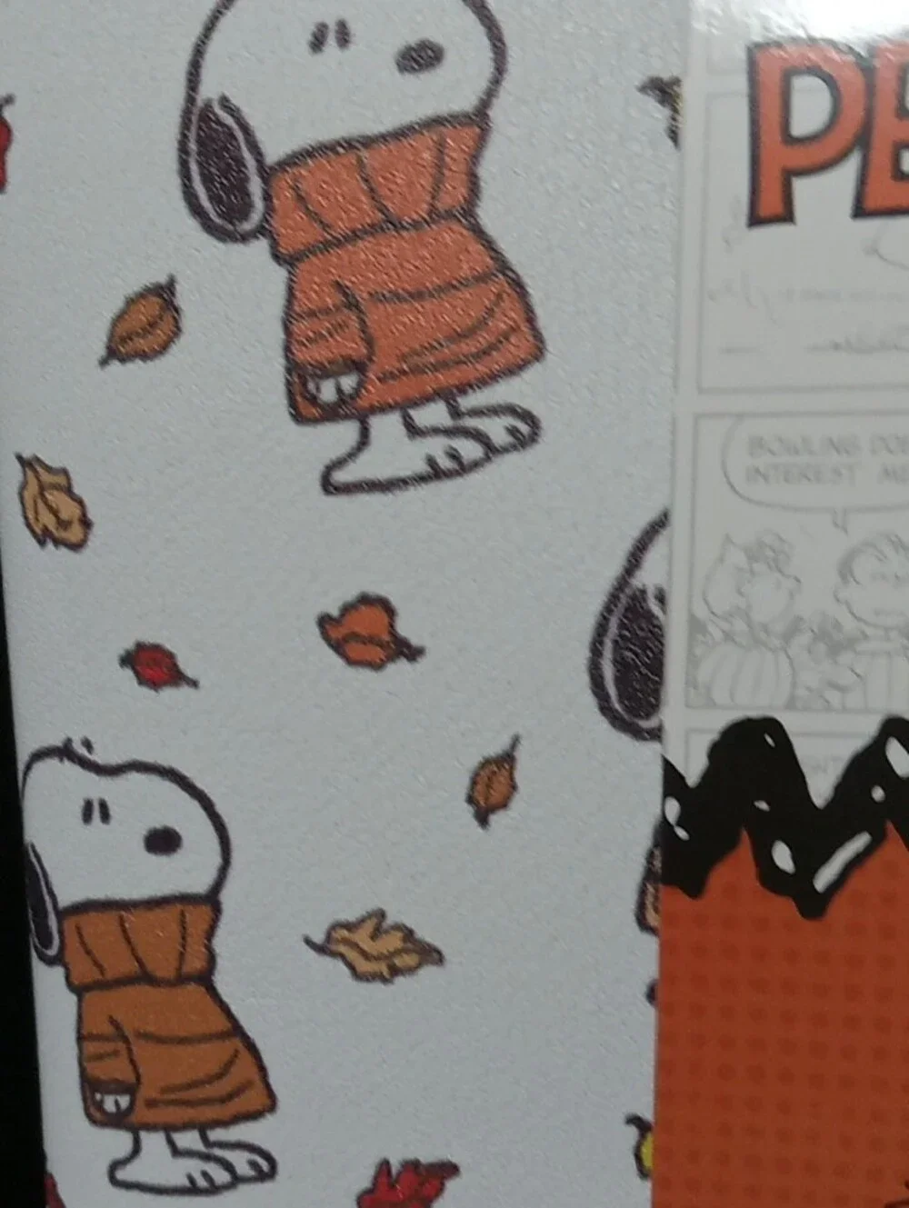 Peanuts Snoopy Fall Leaf Dish Mat in Orange and White